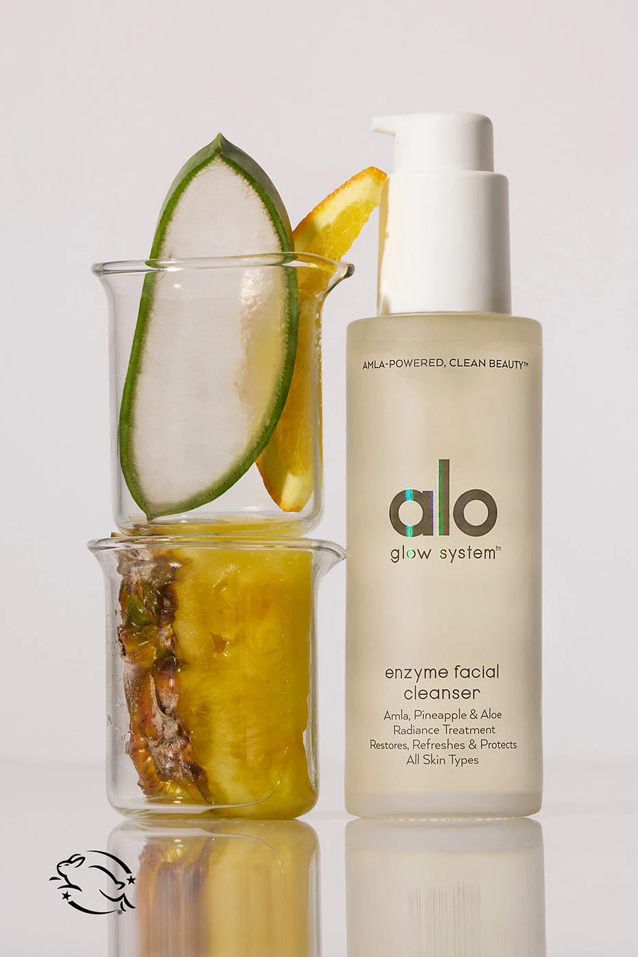 Enzyme Facial Cleanser 1 Enzyme Facial Cleanser