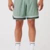 9" Traction Arena Short - Icy Sage
