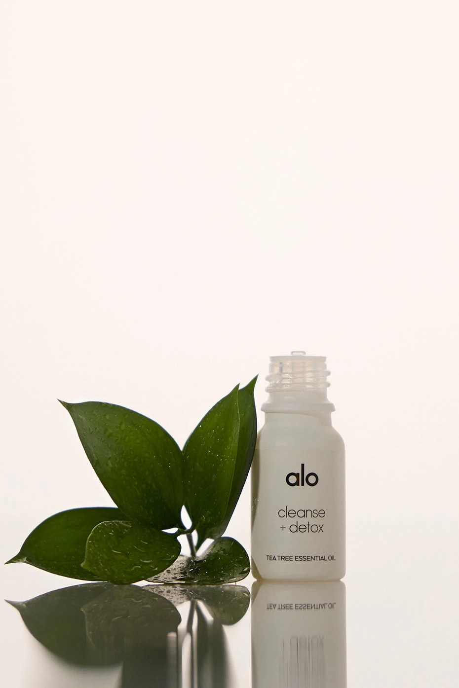 Cleanse & Detox Essential Oil (Tea Tree) 1 Cleanse & Detox Essential Oil (Tea Tree)