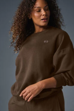 Accolade Crew Neck Pullover - Espresso -ALO Clothing Shop U3031RG 04064 b1 s1 a3 1 m182