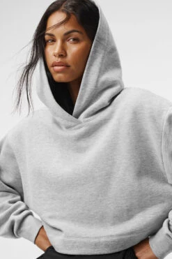 Bae Hoodie - Athletic Heather Grey -ALO Clothing Shop W3814R 02910 b1 s1 a4 1 m18 93f82532 585e 4cae b958 1419bb97a953